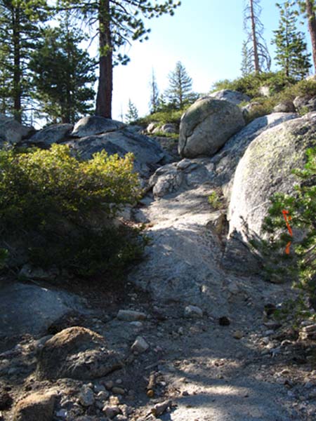 Tahoe to Yosemite Trail between Summit Lake junction and Spicer Meadow Reservoir.